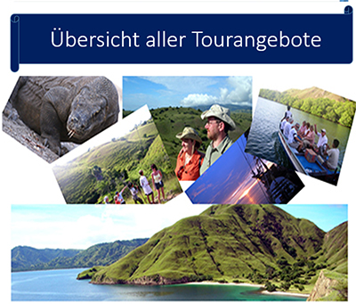 Alle Touren nach Komodo